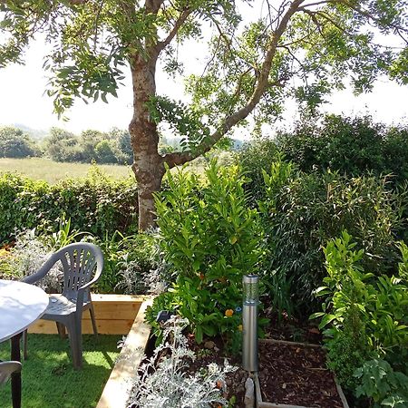 Apartament Au Petit Bonheur Ferques Zewnętrze zdjęcie